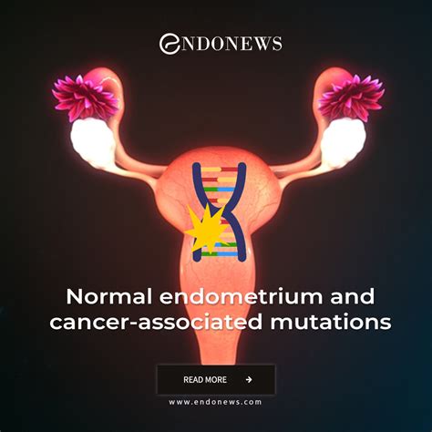Normal Endometrium And Cancer Associated Mutations Endonews