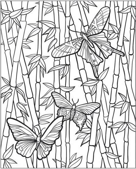 For Draw Coloring Book Pages Printable Coloring Pages Adult Coloring