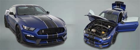 Gt350 Racing Stripes With Pinstripes Rallyduallemans Stripe Source
