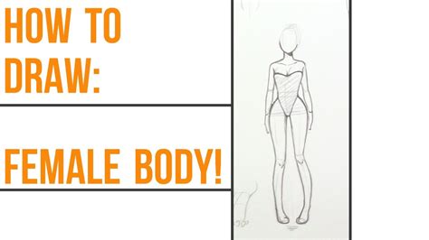 How To Draw Female Anatomy~ Step By Step~ Youtube