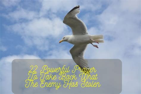 22 Powerful Prayer To Take Back What The Enemy Has Stolen