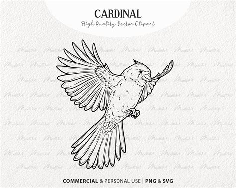 Cardinal Vector Clipart Bundle Little Red Birds Flying Birds Outline