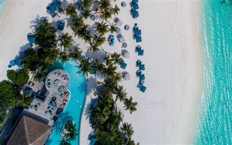 Download Wallpaper 1680x1050 Beach Island Aerial View Sea Palm