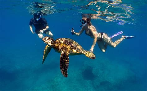 List Of Best Places To Snorkel In Oahu Hawaii