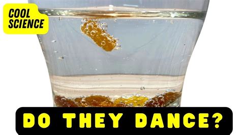 Dancing Raisins Science Experiment Youtube