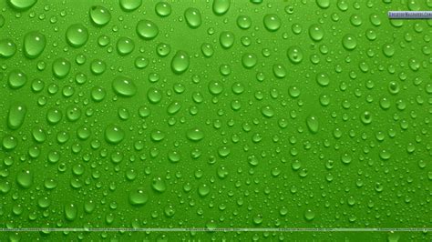 Free Download Drops On Green Background Wallpaper 1920x1080 For Your