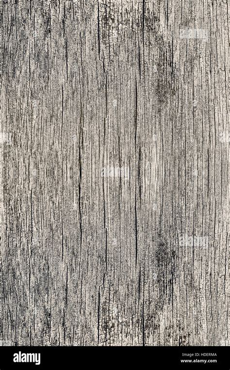 Dry Wood Texture