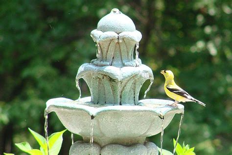It does not just look great and offers a soft, gentle gurgling ambiance but it also attracts the birdbath is crafted from a polyresin material, making it lightweight and durable. Discover Bird Bath Fountains and Why You Need One