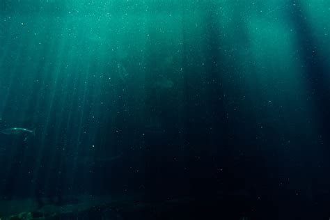 Deep Sea Underwater Wallpaper