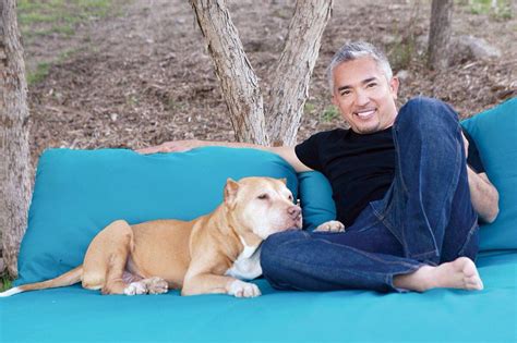 My Favorite Photo Of Cesar And Daddy Just Relaxing Enjoying Life Dog