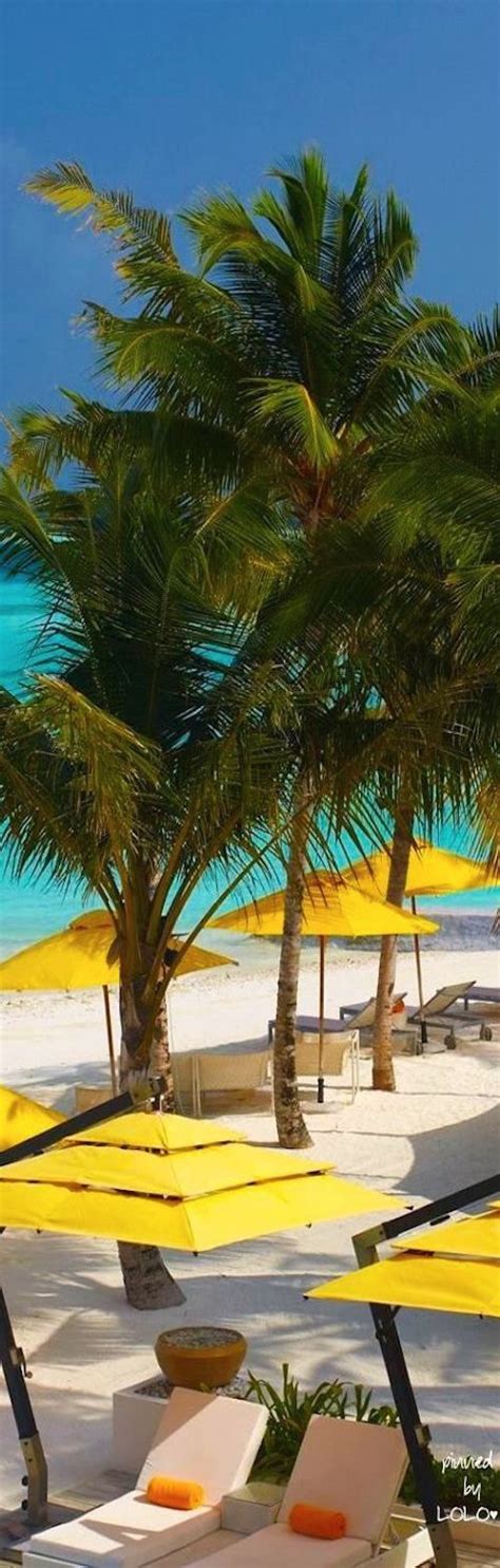 NIYAMA MALDIVES A PER AQUUM RESORT LOLO Beautiful Places On Earth