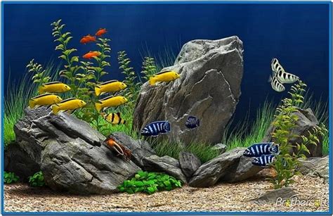 Moving Fish Aquarium Screensaver Download Free