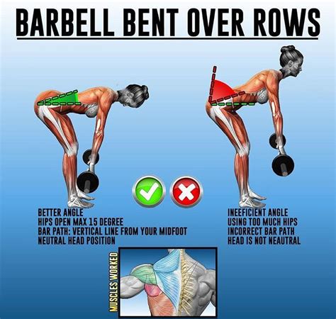 √ Proper Bent Over Barbell Row Form