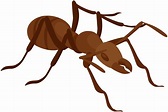 Clipart leaf ant, Clipart leaf ant Transparent FREE for download on ...