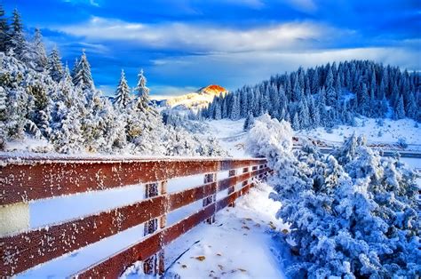 Fence In Winter Forest Hd Wallpaper Background Image 2048x1360 Id