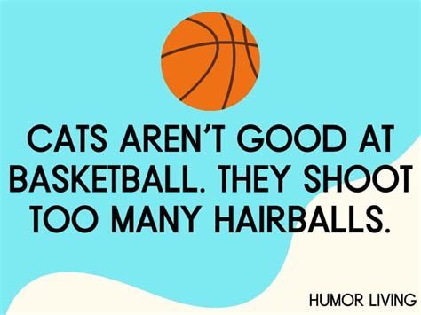 Funny Basketball Puns To Fill Your Laughter Basket Seso Open