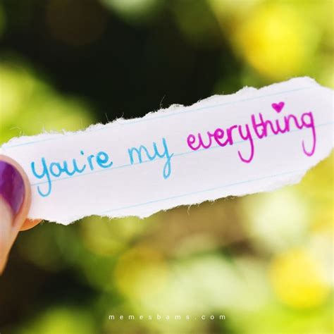 You Are My Everything My Love Quotes