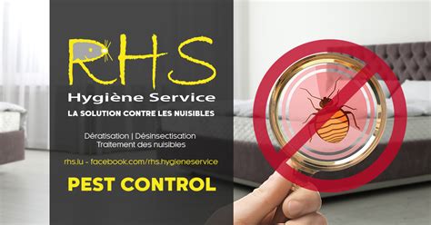 Rhs Hygiène Service Pest Control Punaises Désinsectisation Et Traitement
