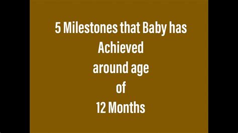 5 Milestones That 12 Months Baby Has Achieved 12 Months Baby
