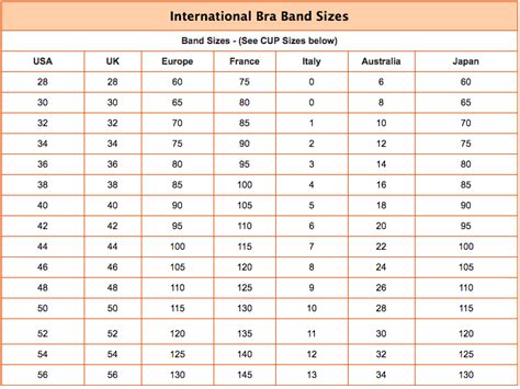 Bra Size Calculator And Measurement Tool Get Accurate Fitting