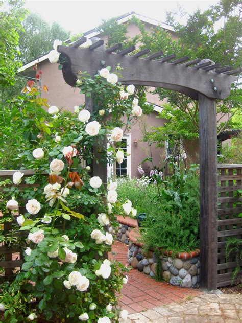 My Romantic Home White Eden Roses