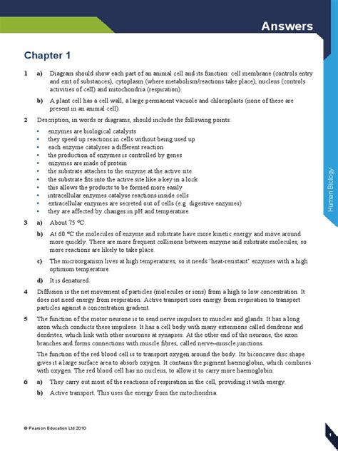End Of Chapter Questions Biology Answers Igcse Chapter 3 - Edexcel IGCSE Human Biology Answers | PDF | Ploidy | Meiosis