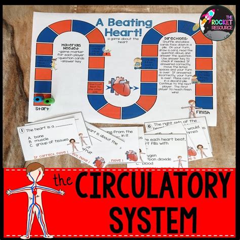 Circulatory System Game Circulatory System Lesson Plans Engaging