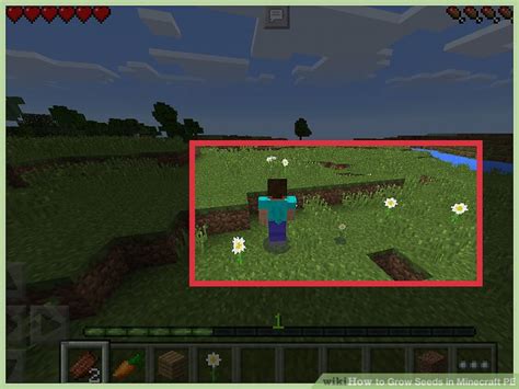 Villages are found in different biomes in minecraft. How to Grow Seeds in Minecraft PE: 12 Steps (with Pictures)