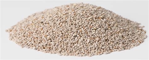 White Chia Seeds In Bulk Organic Chia Seeds Onset Worldwide Onset Worldwide