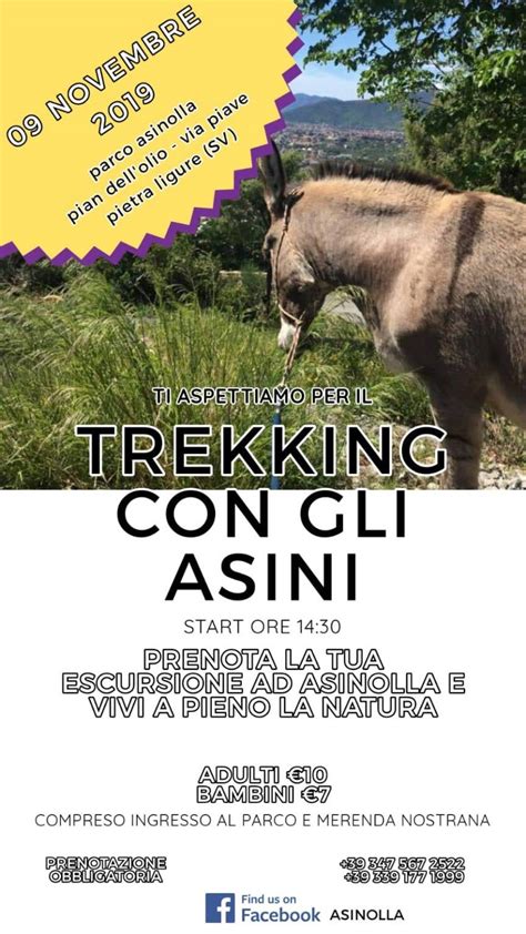 Autunno Al Parco Asinolla Con Il Trekking Con Gli Asini Il Vostro