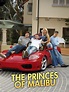 The Princes of Malibu Pictures - Rotten Tomatoes