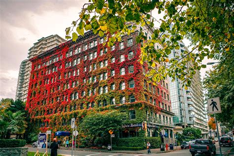 If you don't see it please check your junk folder. The Sylvia Hotel in Autumn | Photo taken in Vancouver ...