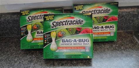 Do Japanese Beetle Traps Really Work Todays Homeowner