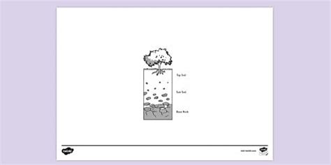 Soil Layers Colouring Colouring Sheets Teacher Made