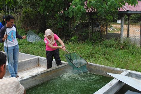 Sebelum masuk ke sungai, dayang kumunah berpesan kepada suaminya, kanda. KRAI PARK DE' KELANTAN: GALERI