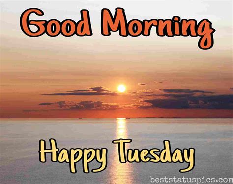 My good morning tuesday wishes is that you find joy in everything you do, you find success in all you lay your hands on. 53+ Good Morning Happy Tuesday Images HD, Wishes [2021 ...