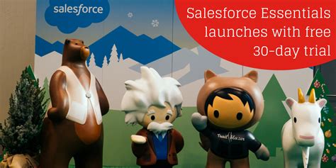 Salesforce Essentials Launches With Free Day Trial Mason Frank