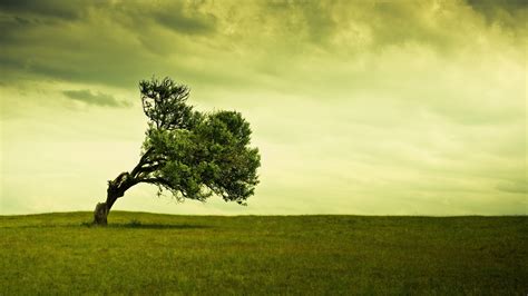 Landscape Tree Alone Wallpapers Hd Desktop And Mobile Backgrounds