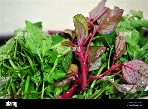 Verduras De Hoja Verde Fotos E Imágenes De Stock Alamy