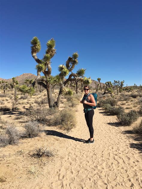 8 Fun Things To Do In Joshua Tree National Park The Traveling Spud