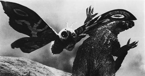 Mothra Vs Godzilla 1964 Image Gallery Wikizilla The Kaiju