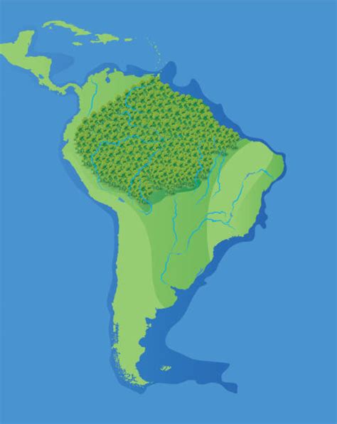 Amazon Rainforest Map Outline