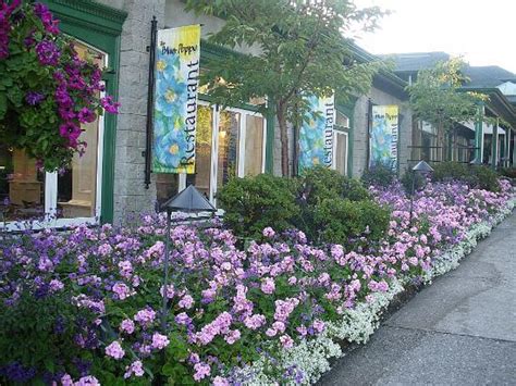 Previous pricec $10.26 15% off. the blue poppy restaurant - Picture of Butchart Gardens ...