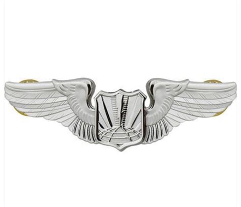 Vanguard Air Force Badge Unmanned Aircraft Systems Regulation Size