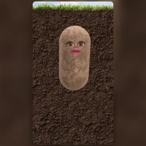 Taco Bell Potato Lens By Phil Walton Snapchat Lenses And Filters