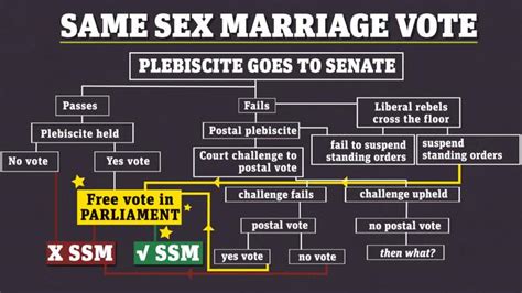 Gay Marriage Plebiscite Postal Ballot Cynical Reason Pm Picked Date For Vote Au