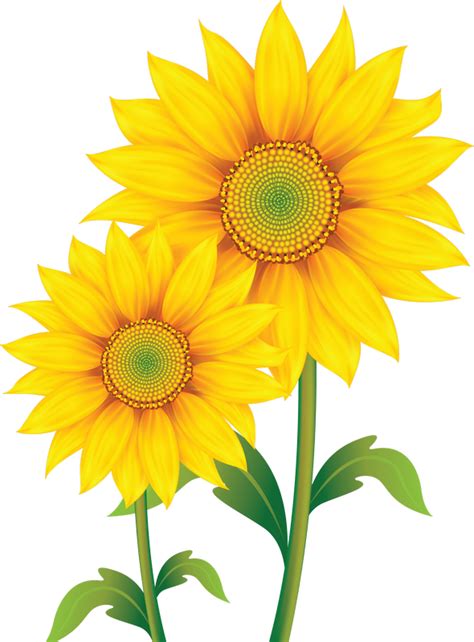 Free Free 95 Cute Sunflower Clipart Png SVG PNG EPS DXF File