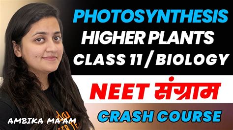 Photosynthesis In Higher Plants Class Part Neet