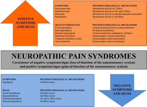 Neuropathic Pain Definition Examples And Forms
