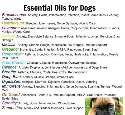 You love to share essential oils with your family, so it makes sense that you want to share them with your pets as well! Always Dilute your oils before applying to your animals!
